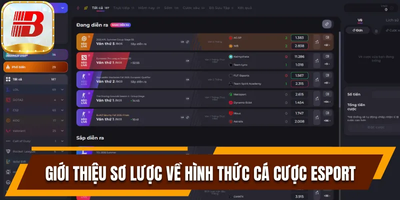Top 5 Giải Đấu Esport Giúp Bạn Thực Hiện Giấc Mơ Làm Giàu 6 Đôi nét về cá cược thể thao điện tử hấp dẫn