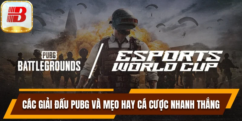 Giải đấu PUBG
