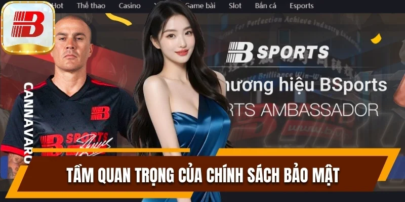 Chính Sách Bảo Mật Giúp Đặt Cược Bsport An Toàn Tuyệt Đối 4 Mục tiêu quan trọng khi ban hành điều khoản