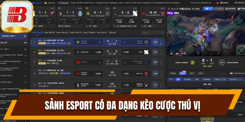 Esport Là Gì? Xu Hướng Cá Cược Thể Thao Điện Tử Siêu Hot 7 Sảnh Esport có đa dạng kèo cược thú vị cho người chơi lựa chọn