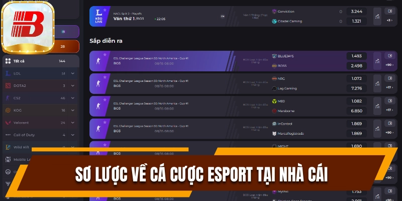 Cách Cá Cược Esport Luôn Thắng Hốt Bạc Khủng Từ Bsport 6 Sơ lược về cá cược Esport trên nền tảng Bsport
